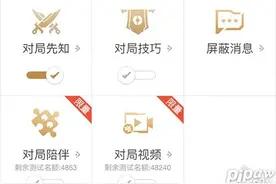 王者荣耀对局陪伴有什么用？ 对局陪伴在哪里设置？图片