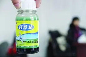 浙江一护士出身的妻子茶里下药迷晕丈夫，再注射百草枯图片