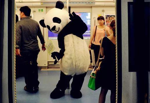 没有学历也可以入户成都，6月3号积分落户开始申请！（全套秘籍）