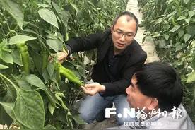科技特派员吴飞龙十余年真情帮扶助企业壮大图片