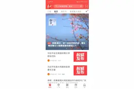 春分72小时|这个城市喜提投票数榜首，赏花攻略走一波！图片