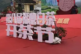 “中国白茶之乡”福鼎开启白茶开采季视频封面