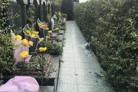 这些惠民殡葬政策你知道吗视频封面