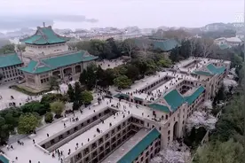 对唱 吟诗 看武大校友如何踏春赏樱视频封面