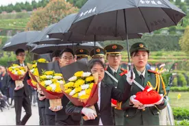 成都金沙陵园举行树葬集体落葬仪式视频封面
