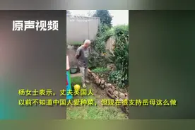 中国丈母娘让洋女婿大型懵！把悉尼别墅花园改菜地，后者看完尝了视频封面