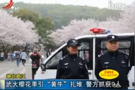 湖北武汉：武大樱花季引“黄牛”扎堆 警方抓获9人视频封面