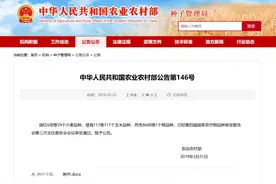 今年国家审定第一批：59个小麦品种、117个玉米品种、1个稻品种！图片
