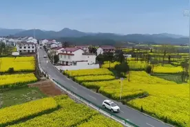 29条观花路线！陕西万亩油菜花海盛开，西成高铁助力乡村旅游视频封面
