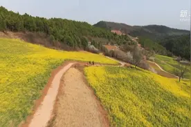 追美春光丨春日寻芳 多彩山乡视频封面