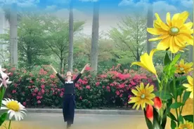 萨丽广场舞《花幺妹儿》
