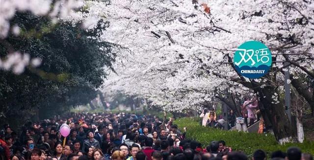 Password、PIN和code，“密码” 用英语怎么说？丨BBC听英语