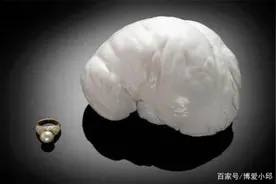 地球上目前发现的最大珍珠，为什么叫“老子之珠”？涨知识了图片