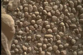 NASA好奇号探测器在火星上发现奇特的鹅卵石图片