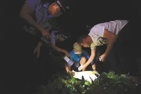 大海龟被困沙滩 三亚警方联合海洋馆工作人员救助图片
