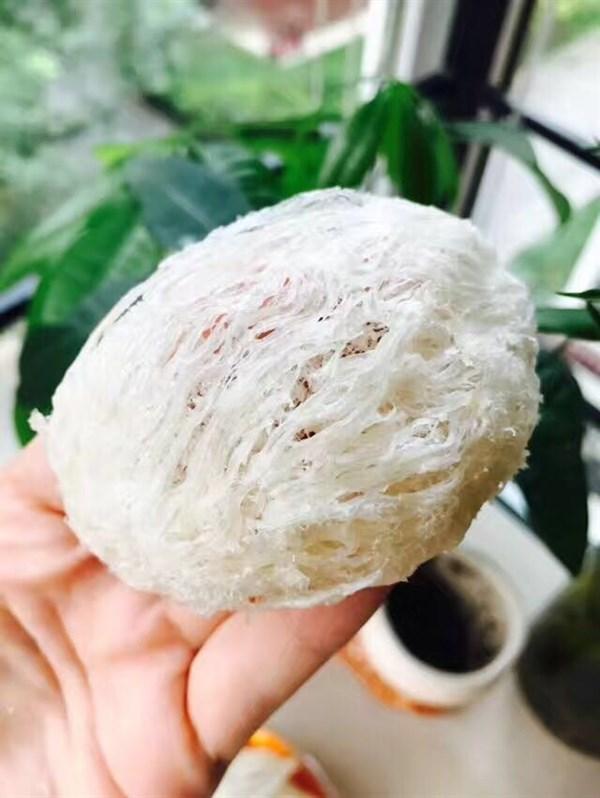 女性吃燕窝的副作用 2026年女性吃燕窝的副作用大吗