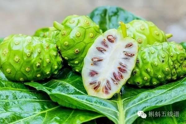 「荐读」世界10大坑人黑暗水果，最后一种你可能还吃过…