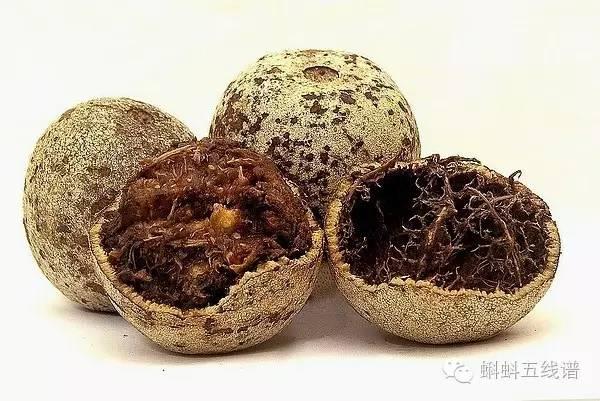 「荐读」世界10大坑人黑暗水果，最后一种你可能还吃过…