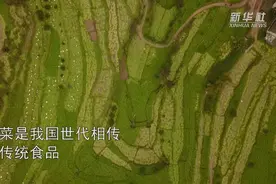 涨姿势！“国民下饭菜”是这样炼成的视频封面