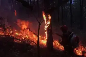 攀枝花山火，三百余人扑灭4公里火线视频封面