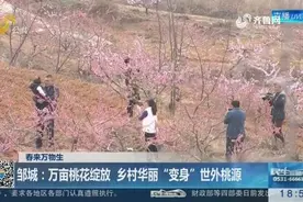 桃花节不是“桃花劫”！万亩桃花绽放，本周六开幕！享受世外桃源视频封面