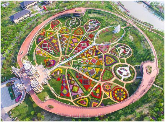 内含福利！等你来撒欢！大到罕见的魔都“奇迹城堡”里，巨型花海已达颜值巅峰！还有“神奇动物”出没呢！