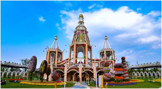 内含福利！等你来撒欢！大到罕见的魔都“奇迹城堡”里，巨型花海已达颜值巅峰！还有“神奇动物”出没呢！