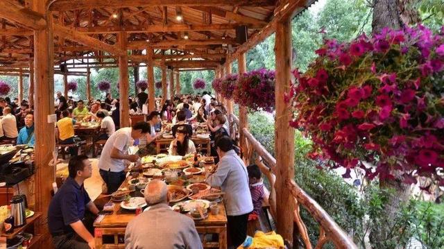 内含福利！等你来撒欢！大到罕见的魔都“奇迹城堡”里，巨型花海已达颜值巅峰！还有“神奇动物”出没呢！