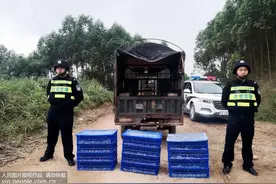 广西崇左民警查获503只野生八哥幼鸟图片