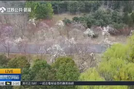 绿色氧吧！常州新龙生态林，六千多亩的森林里种植了近1000种植物