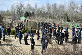 181名部级领导在北京朝阳种树？这里有一波现场图图片