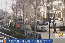 潍坊一小区居民入住9年后绿化树被开发商移走 监管部门介入视频封面