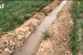 石家庄一村水井流出“牛奶水”疑被污染 当地调查视频封面