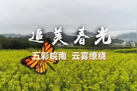 追美春光丨五彩皖南 云雾缭绕视频封面