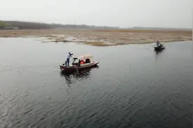 直击白洋淀生态环境治理成效丨这几类鱼的出现证明水质变好了！视频封面