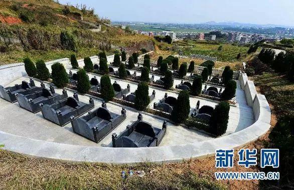 广东陆丰坟爷非法占地建3232座墓穴被查(组图)(广东陆丰有哪些好墓地