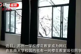 视频|东大也有“网红”樱花教室   曾是电影取景地视频封面