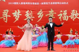 朱集镇第三届梨花生态旅游周开幕图片