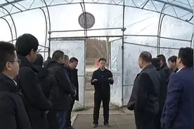 江苏农垦黄海分公司参观团来农场参观考察视频封面