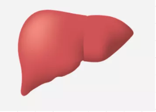 至2030年中国将有一千万人死于慢性肝炎……想要调理就该这样吃