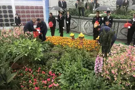 眉山举行集体公益生态葬 全市提供200个免费墓穴视频封面