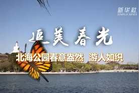 追美春光丨北海公园春意盎然 游人如织视频封面
