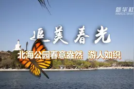 追美春光丨北海公园春意盎然 游人如织视频封面