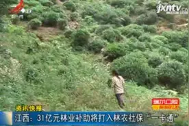 江西：31亿元林业补助将打入林农社保“一卡通”视频封面