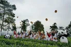 多国寻味大使峨眉山当“茶农”品竹叶青 探寻四川最美春天视频封面