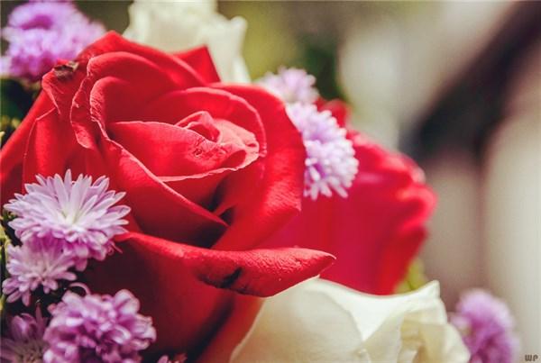 微信最火的简短句子，字字穿心，送给深夜孤独的自己