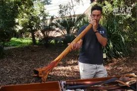 走进悉尼皇家植物园：白蚁帮人“做”乐器