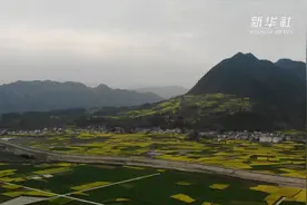 追美春光丨汉江碧如玉 花海织春日视频封面