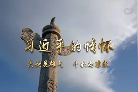 习近平的情怀|天地英雄气 千秋尚凛然视频封面
