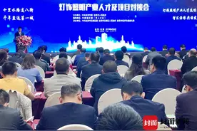 自贡打造“东方灯谷” “全系列LED光电产品”等9个项目落户沿滩视频封面